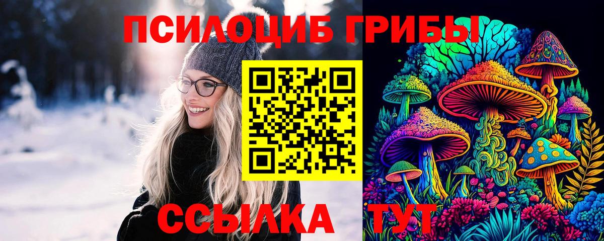 Галлюциногенные грибы мицелий  Вход с VPN  купить наркоту  Гусиноозёрск 