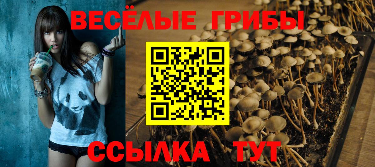 Галлюциногенные грибы прущие грибы Гусиноозёрск